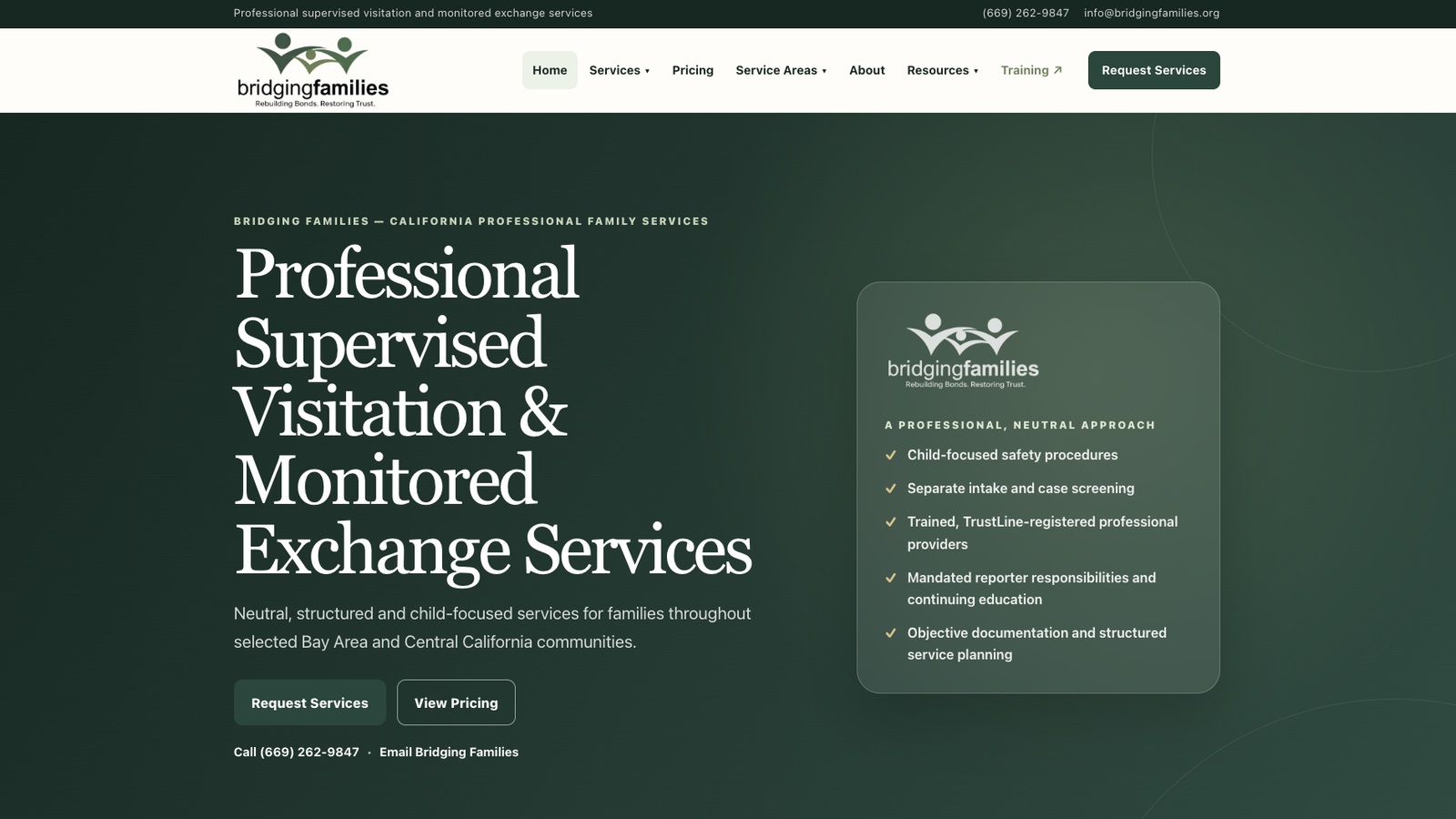 Homepage preview of the Bridging Families website